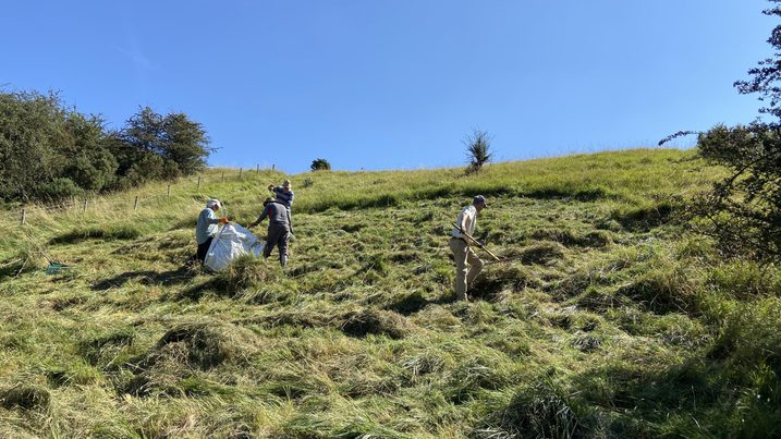 Volunteers doing habitat management in Cotswolds