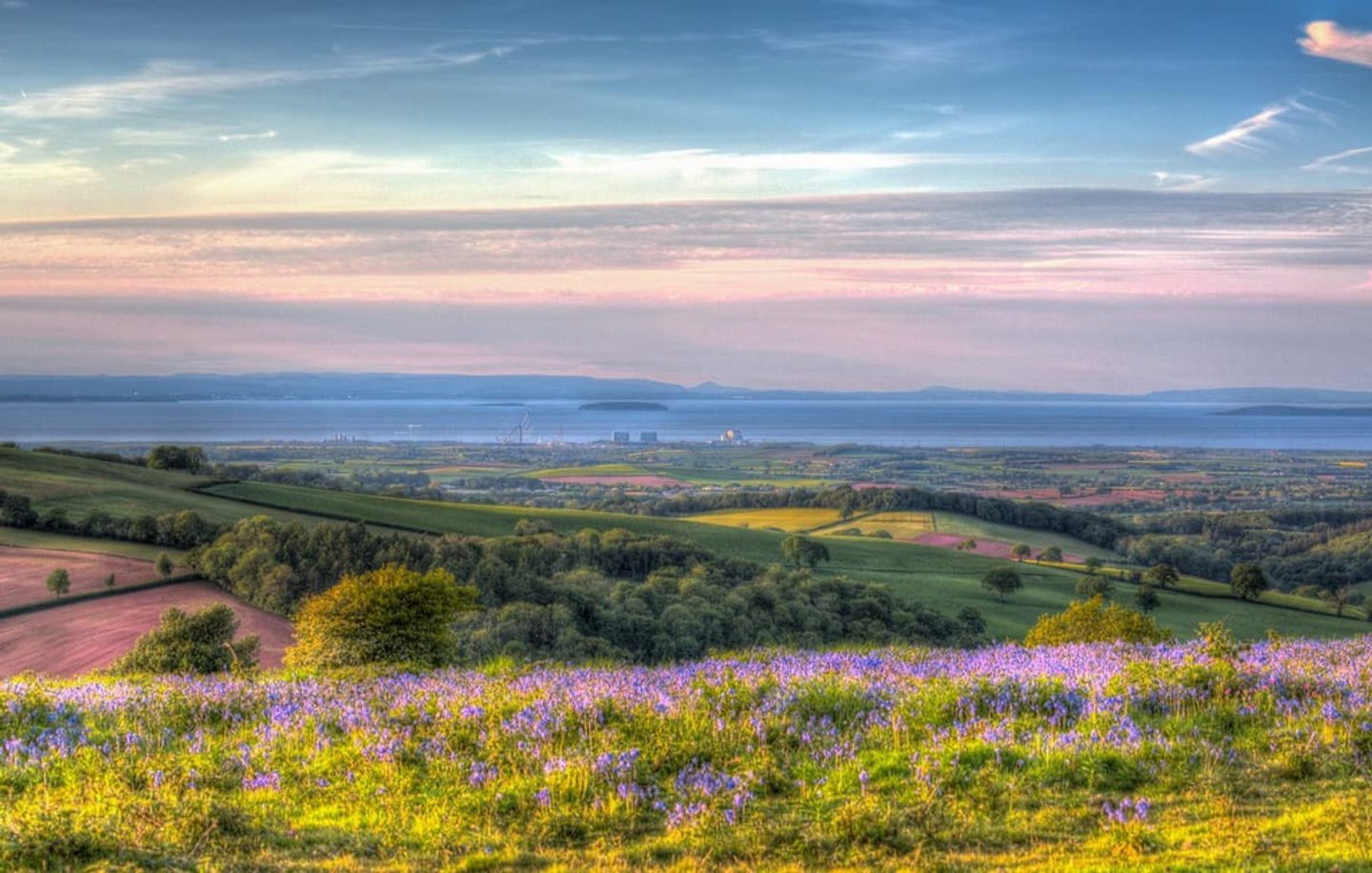 Quantock Matty Your Natural Partner | National Landscapes | Quantock Hills