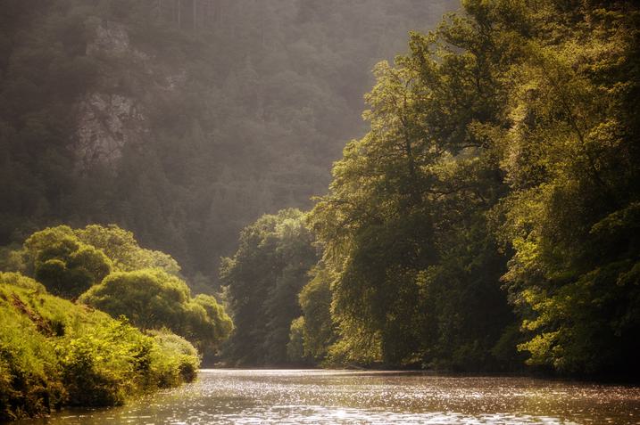 Image of the Tamar Valley