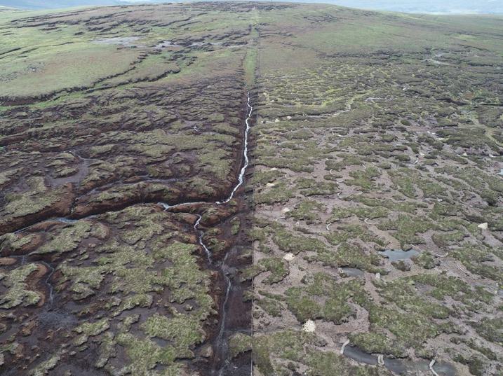 Swinehope before and after peatland restoration works